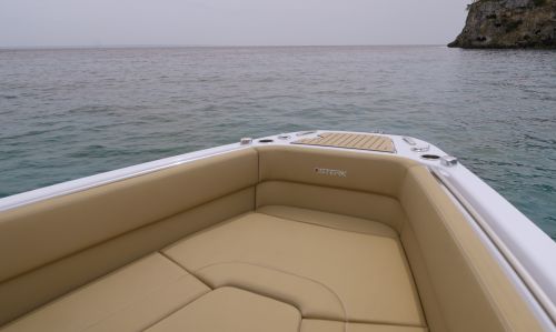 STERK 31 RC SUPER SPORT