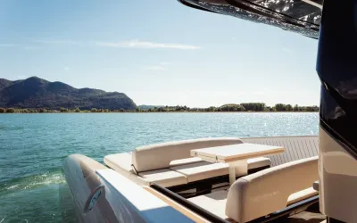 Bellini Astor 36
