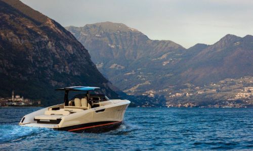 Bellini Astor 36