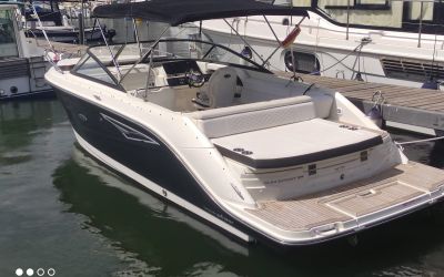 SEA RAY SUN SPORT 250