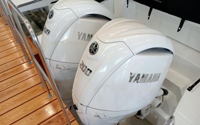 JEANNEAU MERRY FISHER 895 Serie 2