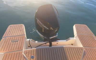 QUICKSILVER ACTIV 805 C