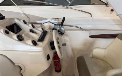 SCARANI DAY CRUISER 25