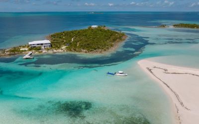 Regal LX9 - Ultimate