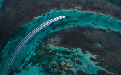 Regal LX9 - Ultimate