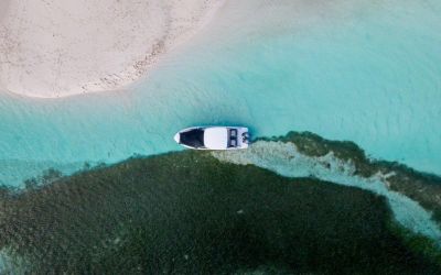 Regal LX9 - Ultimate