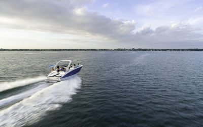 Regal LS6 Surf