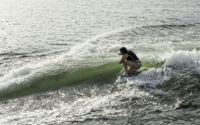 Regal LS6 Surf