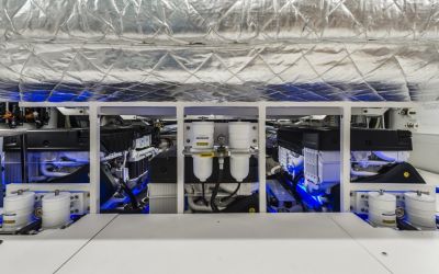 Cranchi Settantotto 78