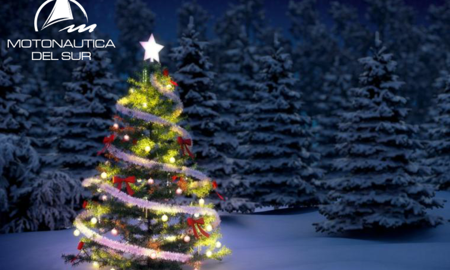 SPECIAL SCHEDULES FOR THE MONTH OF DECEMBER