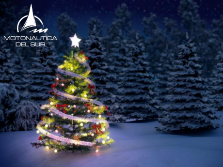 SPECIAL SCHEDULES FOR THE MONTH OF DECEMBER