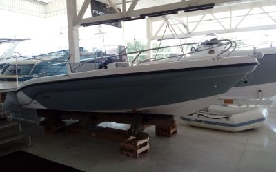 RANIERI VOYAGER 17